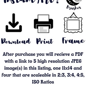 May include: Instant Art! Download, print, and frame a digital illustration of a crescent moon with botanical elements. The image is available in five sizes, including one 11x14 inch print and four scalable sizes in ISO ratios.