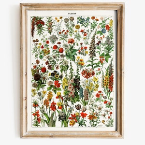 K&ouml;nnte beinhalten: Eine Vintage-botanische Illustration verschiedener Blumen, die mit Nummern versehen sind. Die Blumen sind in Rot-, Gelb-, Blau- und Wei&szlig;t&ouml;nen dargestellt, mit gr&uuml;nen Bl&auml;ttern und Stielen. Der Titel "FLEURS" ist oben auf dem Bild gedruckt.