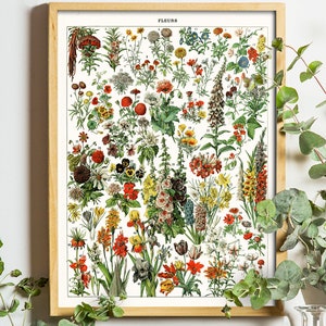 K&ouml;nnte beinhalten: Vintage botanischer Illustration-Druck mit einer Vielzahl von Blumen in Rot-, Gelb-, Rosa- und Blaut&ouml;nen. Der Druck tr&auml;gt den Titel "FLEURS" und enth&auml;lt Nummern und Namen f&uuml;r jede Blume.