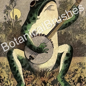 May include: A green frog with a banjo plays music in a forest setting. The frog is sitting on a rock with its legs crossed. The banjo is a light brown color with a white circular body. The frog has a large, round eye and a wide mouth.