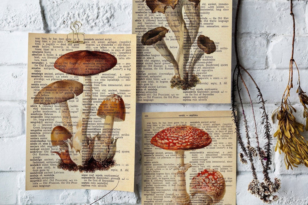 Printable Mushroom Dictionary Print Set Set of 3 Prints Mushroom Decor