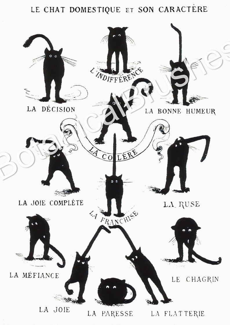 May include: A black and white illustration of a cat in different poses, each representing a different personality trait. The text in French describes each pose, such as "La Decision" (The Decision), "L'Indifference" (Indifference), and "La Bonne Humeur" (Good Mood).