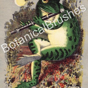 May include: A green frog with a white belly plays a flute in a moonlit forest setting. The frog is sitting on a rock with green foliage and flowers surrounding it.