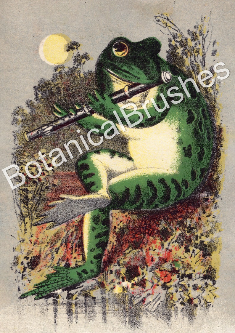 May include: A green frog with a white belly plays a flute in a moonlit forest setting. The frog is sitting on a rock with green foliage and flowers surrounding it.