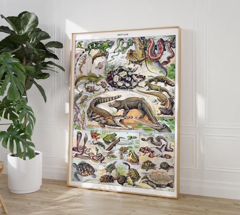 Antique Reptile Poster Printable Art Digital Download Adolphe Millot ...