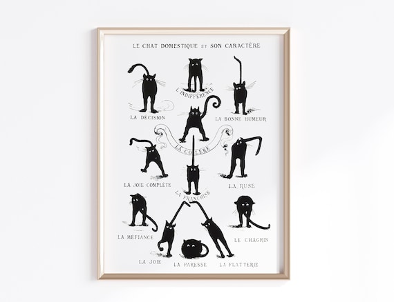 Antique Cats Printable Art | Digital Download | French Cat Print | Cat Lover Gift | Cat Art Print Poster | Black Cat Print