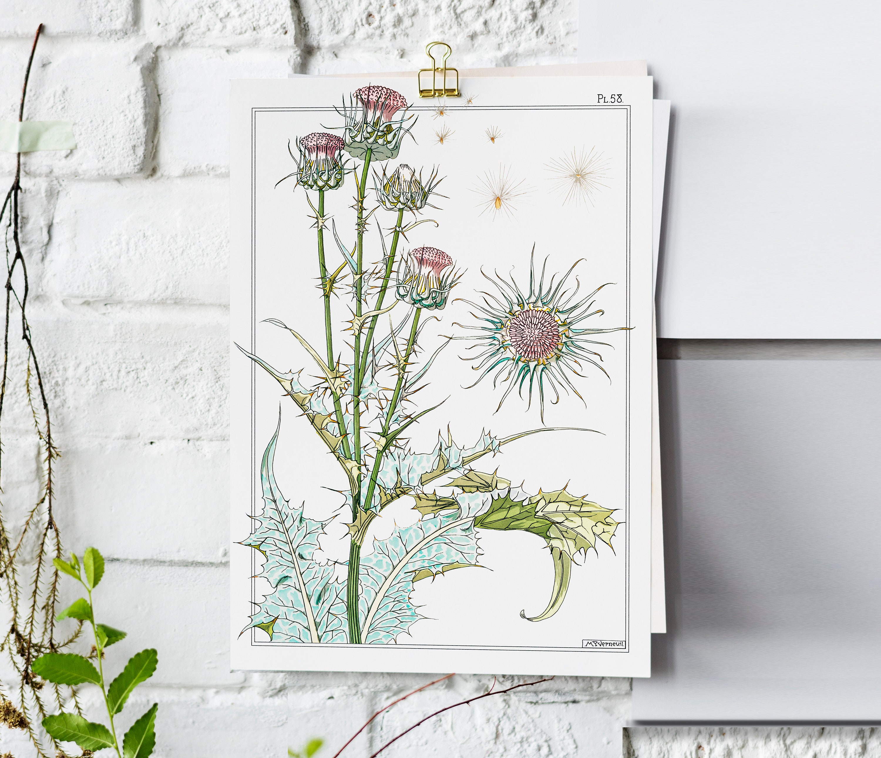 Botanical Prints Set of 3| Printable Art | Vintage Botanicals ...
