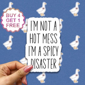 I'm not a Hot Messig I'm a Spicy Disaster Laptop Stickers, Lustige Aufkleber, Laptop Aufkleber Sarkasmus Sarkastischer Becher Wasserflasche Aufkleber