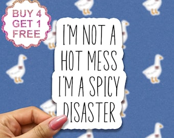 I'm Not A Hot Mess I'm A Spicy Disaster Laptop Stickers, Funny Stickers, Laptop Decal Sarcasm Sarcastic Tumbler Sticker Water Bottle Sticker