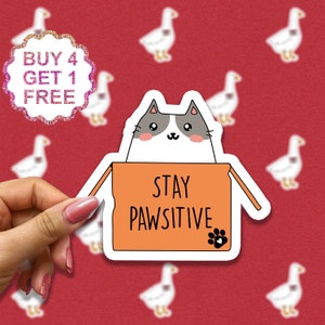 Stickers Stay Pawsitive, Stickers citations, Stickers jeux de mots, Sticker amoureux des chats, Lot d'autocollants pour ordinateur portable, Pack d'autocollants esthétiques