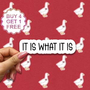 Adesivo para laptop "It Is What It Is", adesivos engraçados, adesivos sarcásticos para laptop, adesivos para copos, adesivos para garrafas d'água, adesivos sarcásticos para garrafas d'água