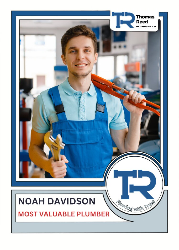 Custom Team Employee Trading Cards and Personalized Business Related