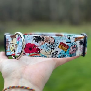 Beach Summer Hawaiian Dog Collar Martingale NBS Limited Slip