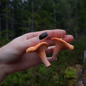 Chanterelle Mushroom Earnings, Realistic Chanterelle Earnings