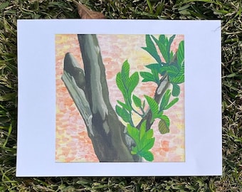 Guava Tree Art Print: Spring Garden Illustration (8.5x11 Unframed)