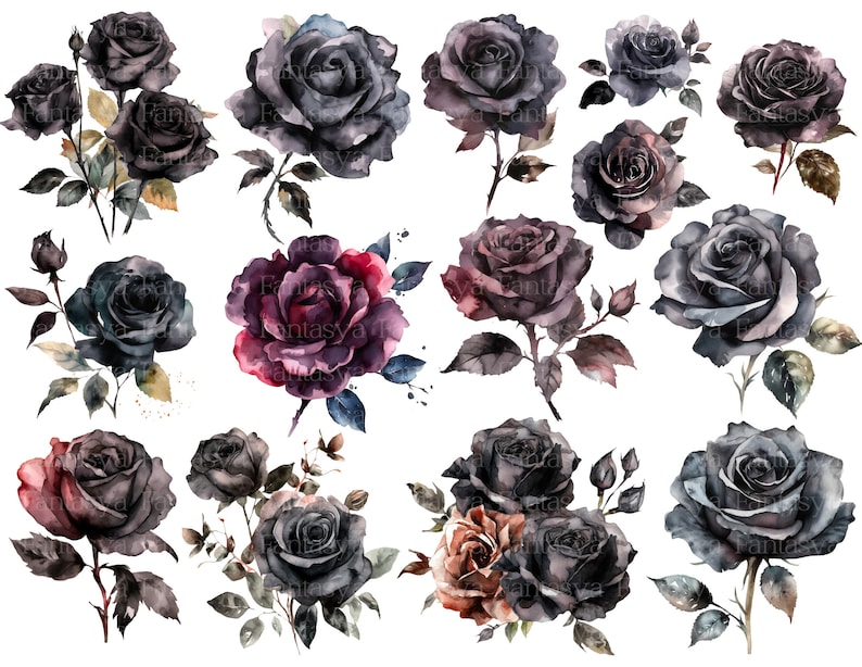 Watercolor Dark Roses Clipart Pack Black Roses And Gothic Florals PNG watercolor-dark-roses-clipart-pack-black-roses-and-gothic-florals-png