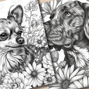May include: Black and white illustration of a chihuahua and a large dog with floral accents. The chihuahua is looking at the viewer, while the large dog is looking to the right. Both dogs are surrounded by flowers.