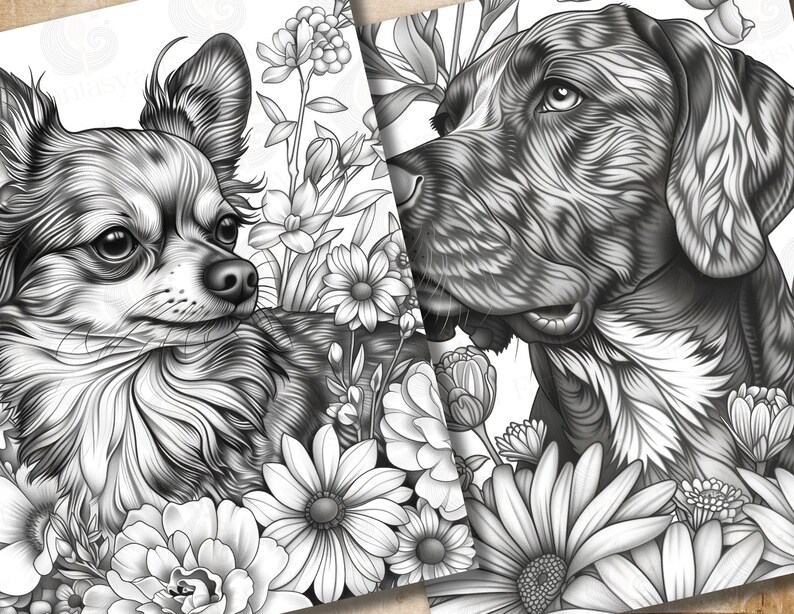 May include: Black and white illustration of a chihuahua and a large dog with floral accents. The chihuahua is looking at the viewer, while the large dog is looking to the right. Both dogs are surrounded by flowers.