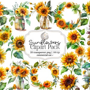Aquarelle Tournesols Clipart | Tournesol Png | Bouquets de fleurs | Téléchargement instantané | Cliparts numériques | Un usage commercial