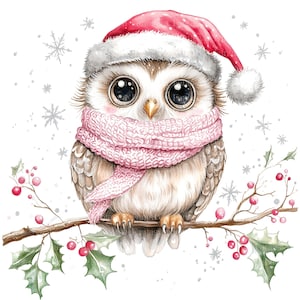 Pack de cliparts hibou de Noël | Images aquarelles 12 Jpg | Fabrication de cartes | Scrapbooking | Artisanat | Journal indésirable | Bricolage | Imprimables