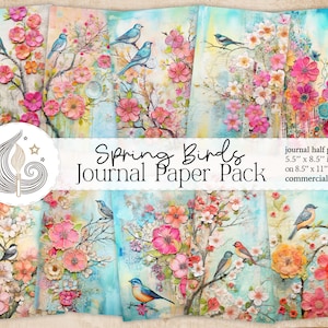 Frühlingsvögel Junk Journal | Druckbare Seiten | Digitales Scrapbooking | Wunderliche Kunst | Kartenherstellung | Bastelset | Collage | Mischtechnik
