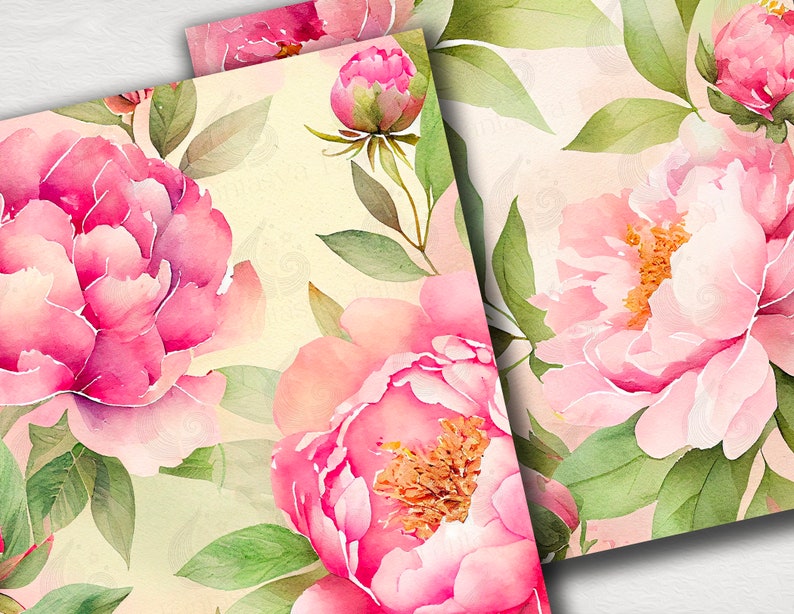 Pink Peonies Digital Paper Pack: Watercolor Peony Flower Backgrounds in ...