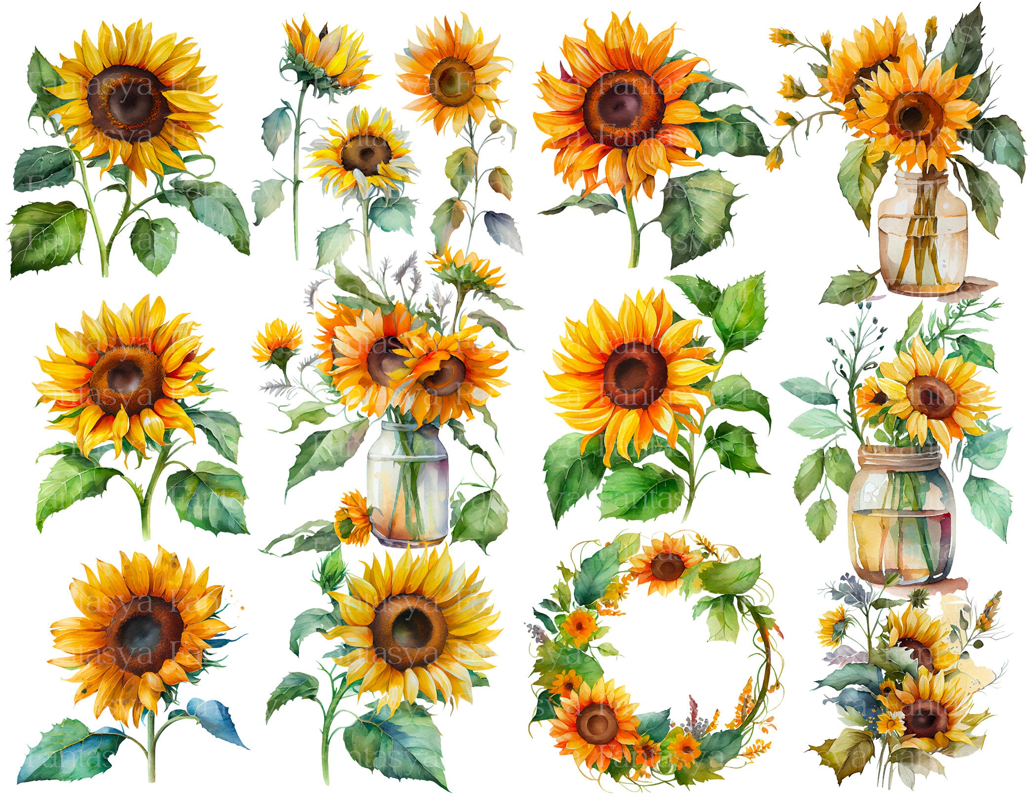 Watercolor Sunflowers Clipart Sunflower Png Floral - Etsy