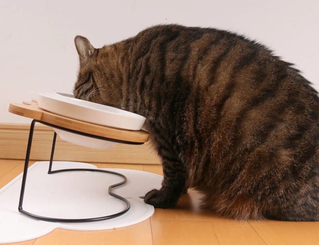 Cat Wood Stand Cat Food Stand Raised Cat Feeder Cat Bowl Etsy