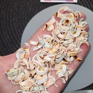 Lot of Pearls in fine Vintage Shell Slices 57gr