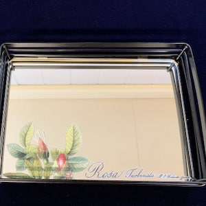 May include: A silver tray with a black metal frame and a mirrored surface. The tray features a floral design with the text "Rosa Turbinata" printed on the bottom.