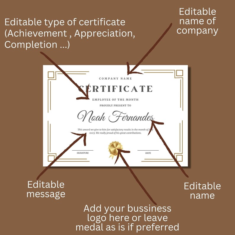 Editable Certificate of Appreciation Template Printable - Etsy
