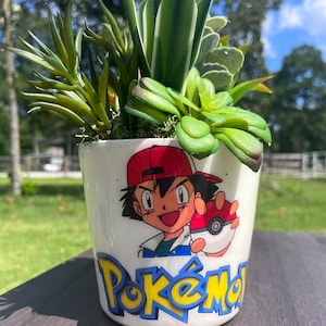 Planter 5”  Pokémon on white with resin finish. narrow table art, pot gallery art, postpartum gift