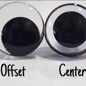 May include: Two plastic googly eyes, one with the pupil centered and the other with the pupil offset. The eyes are clear with a black pupil and a white ring around the pupil.