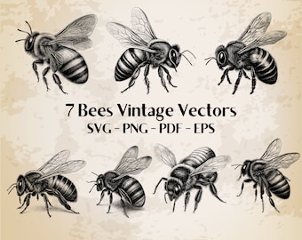 7 Bees Vintage Illustration Vector / Queen bee svg | Bee bundle/honey bee svg / bumblebee svg / Bee vector | bee png / bee clip art