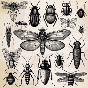 17 Insects Collection Vintage Illustration Vector / Insects Design / Insects Clip Art / Vintage Printable Art / Black and White Insects Set image 2