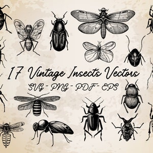 17 Insects Collection Vintage Illustration Vector / Insects Design / Insects Clip Art / Vintage Printable Art / Black and White Insects Set image 1