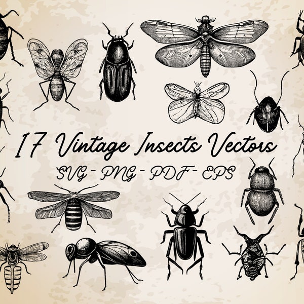 17 Insects Collection Vintage Illustration Vector / Insects Design / Insects Clip Art / Vintage Printable Art / Black and White Insects Set