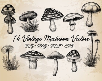 14 Mushrooms Collection Vintage Illustration Vector / Mushrooms Design / Clip Art / Vintage Printable Art / Black and White Fall Set