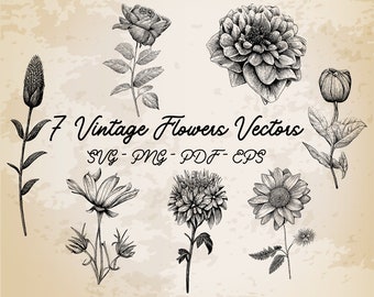 7 Flowers Collection Vintage Illustration Vector / Flowers Design / Vintage Printable Art / Black and White Flowers Set / Flowers Clip Art