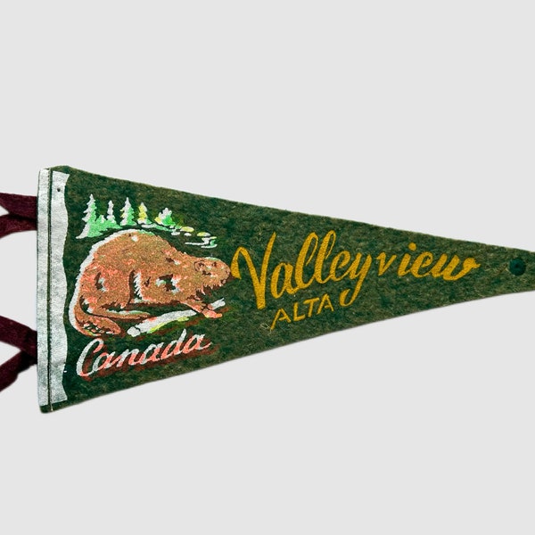 Felt Souvenir Pennant Etsy