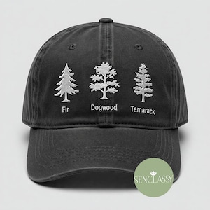 Embroidered Subtle FDT Baseball Dad Hat, Impeach President Dad Hat, Subtle Anti Trump Hat, Reproductive Rights Hat, Gift for Democrat, FDT