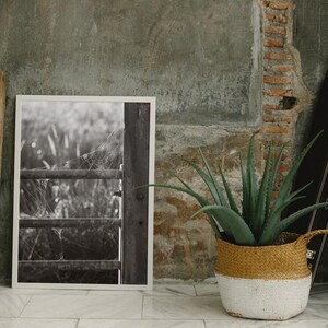 Könnte beinhalten: Ein Schwarzweißfoto eines Tores mit einem Spinnennetz davor. Das Foto ist gerahmt und hängt an einer Wand mit einer Topfpflanze davor.