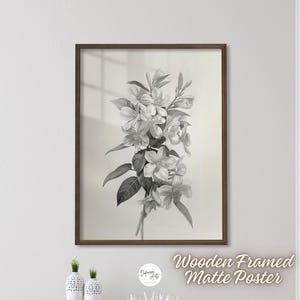 Poster con cornice in legno e carta opaca di alta qualità con schizzi di fiori di gelsomino, decorazione da parete - Stampe artistiche di dipinti floreali botanici in bianco e nero