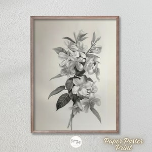 Jasmin Blumen Skizze - Premium Matte Papier Poster Wandkunst - Schwarz-Weiß-Blumenzeichnung Botanische Druck Wanddekoration