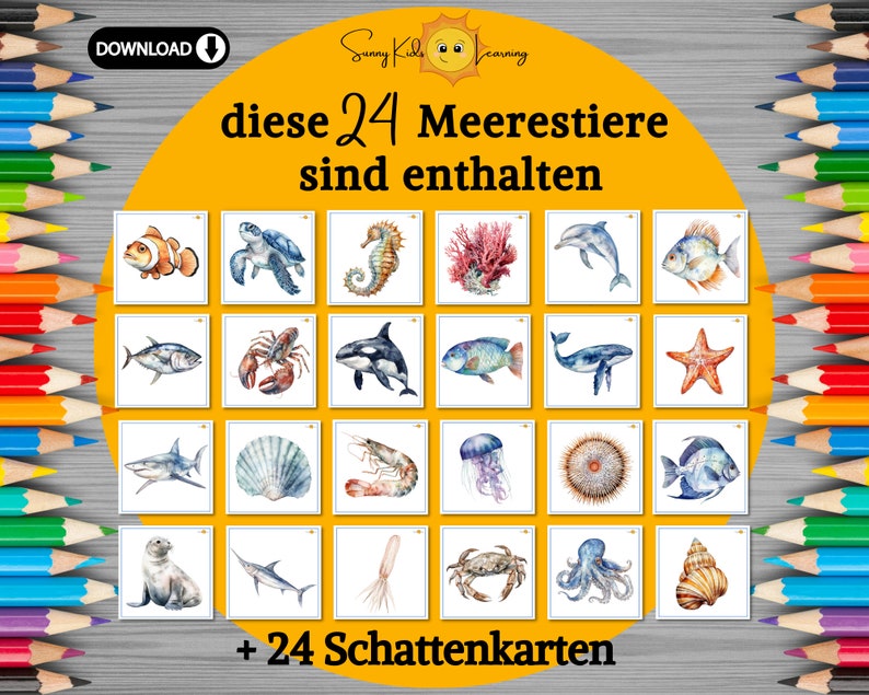Meerestiere Schattenkarten, Ozean Tiere Lernen Pdf, Montessori