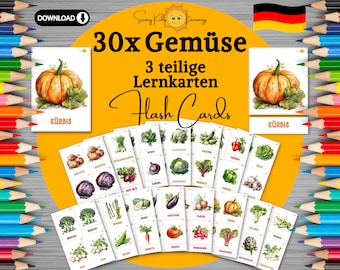 Gemüse Lernkarten Kinder, Gemüsesorten flashcards, 3tlg. Übungskarten deutsch digitaler download, Karteikarten Schule Vorschule Kindergarten