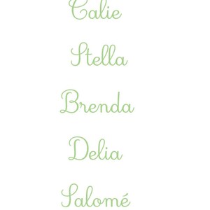 First name or short phrase in personalized fusible flex for clothing, fabric image 6