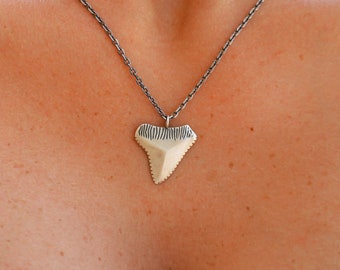 Shark Tooth Necklace | Sterling Silver, Beach Ocean Theme, Shark Jewelry for Men or Women , Beach Themed Jewelry