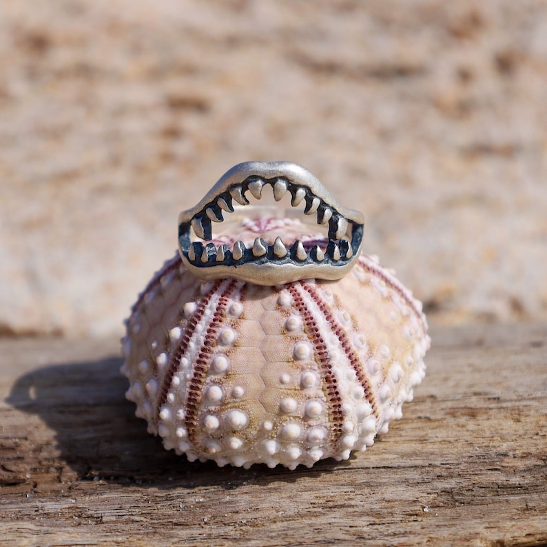 Shark Jaw Ring on a shell