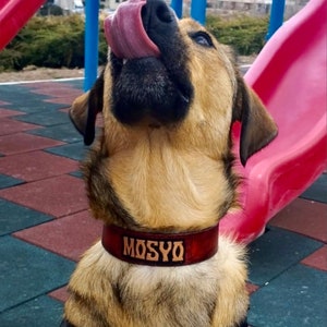 Collare per cani in pelle personalizzato, collare per cani in pelle lavorato a mano, collare per cani personalizzato